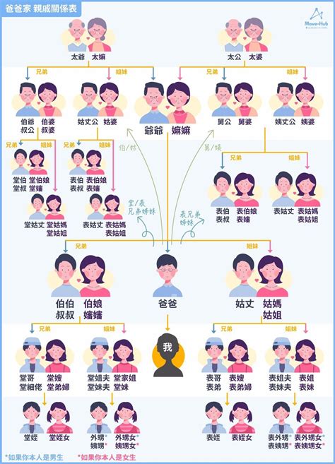 長輩關係圖|家族輩分稱謂表